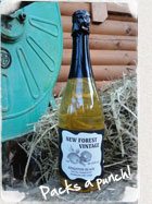 New Forest Champagne Methode Cider Bottle